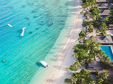 ParadiseCove