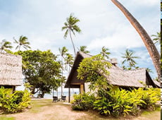 Tambua